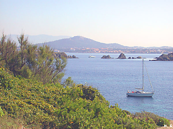 Vue de la rade du Brusc depuis l'île du Rouveau